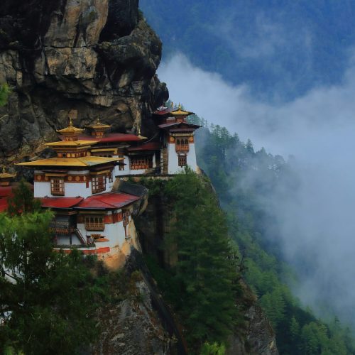 mohamed-abdul-rasheed-fwP7lCNdY2M-unsplash